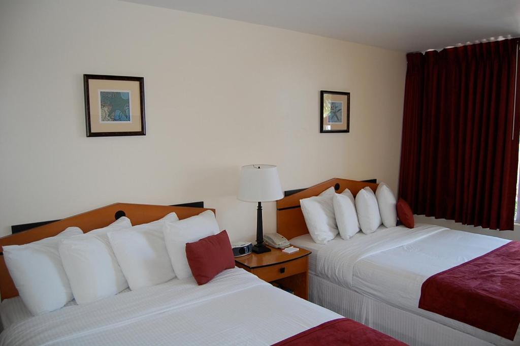 Alcazar Resort- Gay Mens Resort Fort Lauderdale Pokój zdjęcie