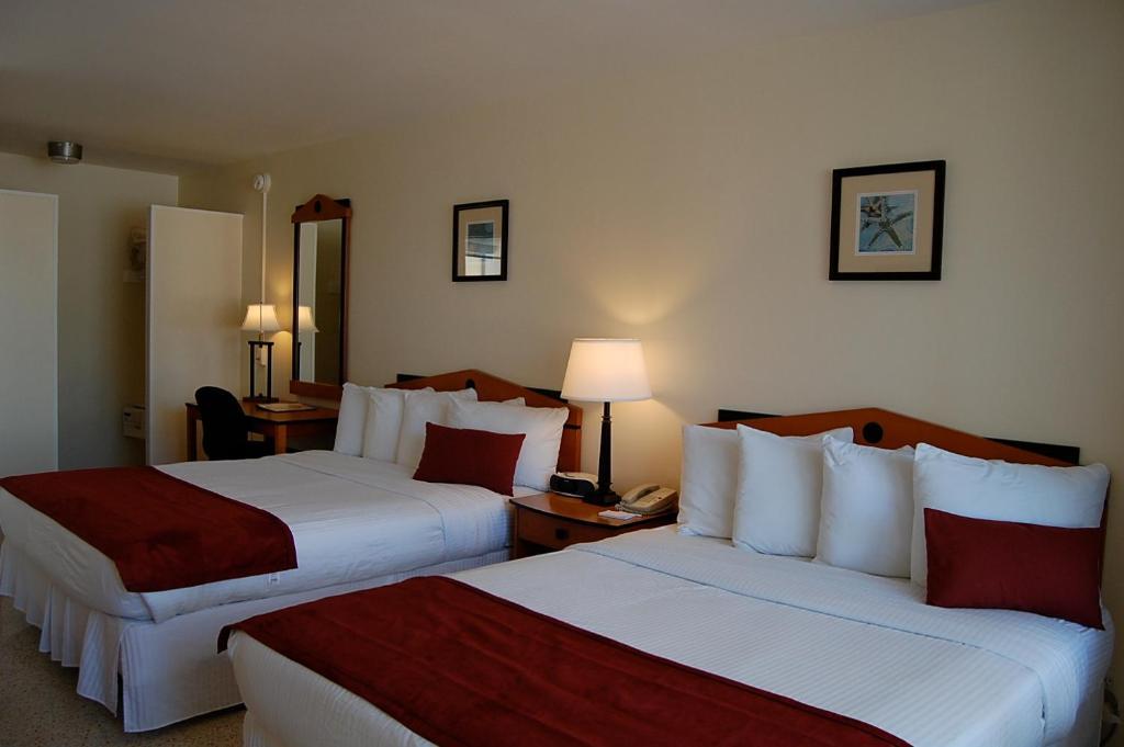Alcazar Resort- Gay Mens Resort Fort Lauderdale Pokój zdjęcie