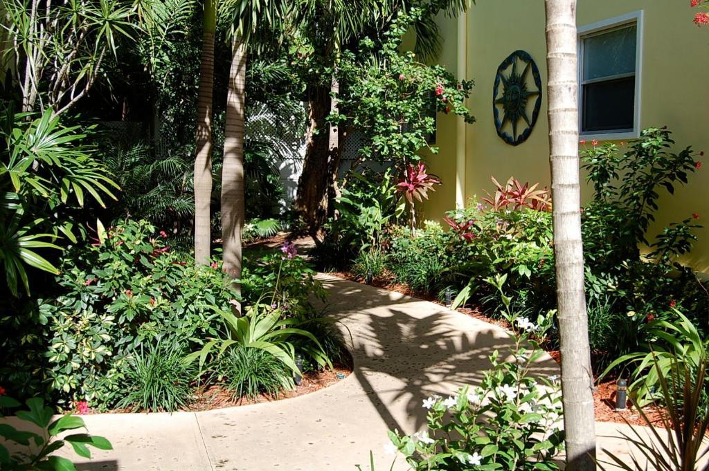 Alcazar Resort- Gay Mens Resort Fort Lauderdale Zewnętrze zdjęcie